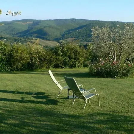 La Pieve Le Barone Panzano in Chianti